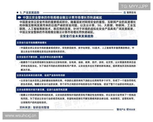开云网站的安全性分析及其对用户信任的影响
