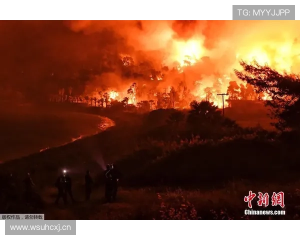 开云体育 官网：关注体育明星动态和赛事最新消息的最佳平台