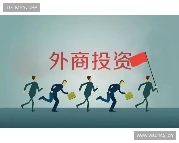 开云在线开户最新政策变化解读把握最新注册规定