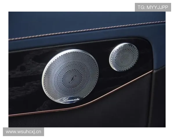 开云ws安装过程中常见问题及解决方法，提升你的安装效率与使用体验