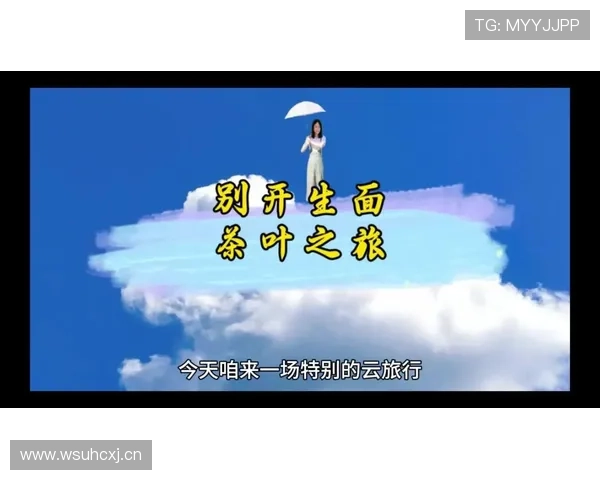 揭开开云线上官方入口的神秘面纱，了解其功能与优势