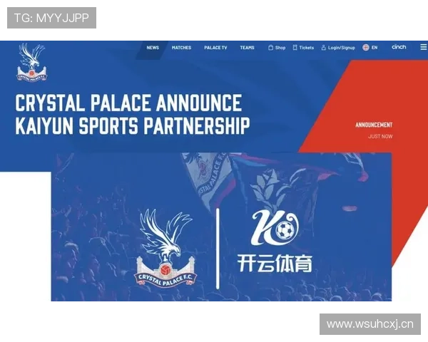 深度剖析开云体育滚球的市场前景及潜在挑战 深度剖析开云体育滚球的市场前景及潜在挑战