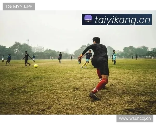 kaiyun体育官方网站登录入口iso常见问题及解决方案，确保用户顺畅登录体验